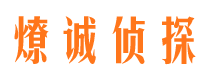 赫山市调查公司